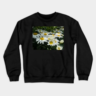 The Daisy Field of All Possibility Crewneck Sweatshirt